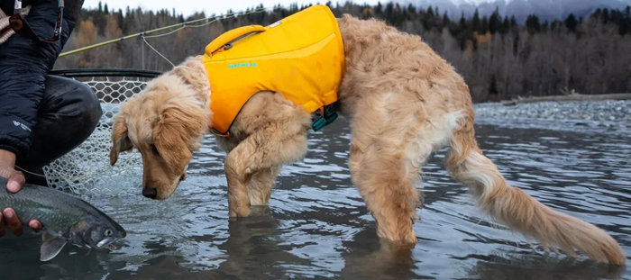 Hundeschwimmweste Ruffwear